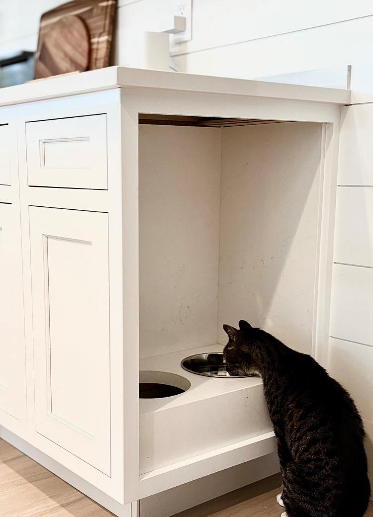 Kitchen Cabinet Installation Pet friendly